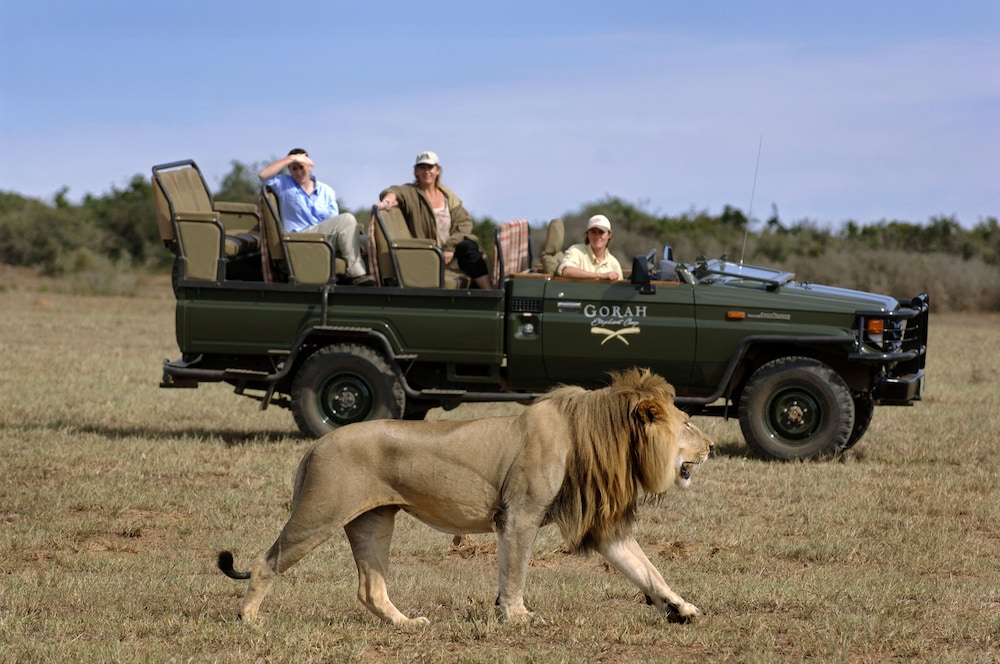 Gorah Elephant Camp 10/50
