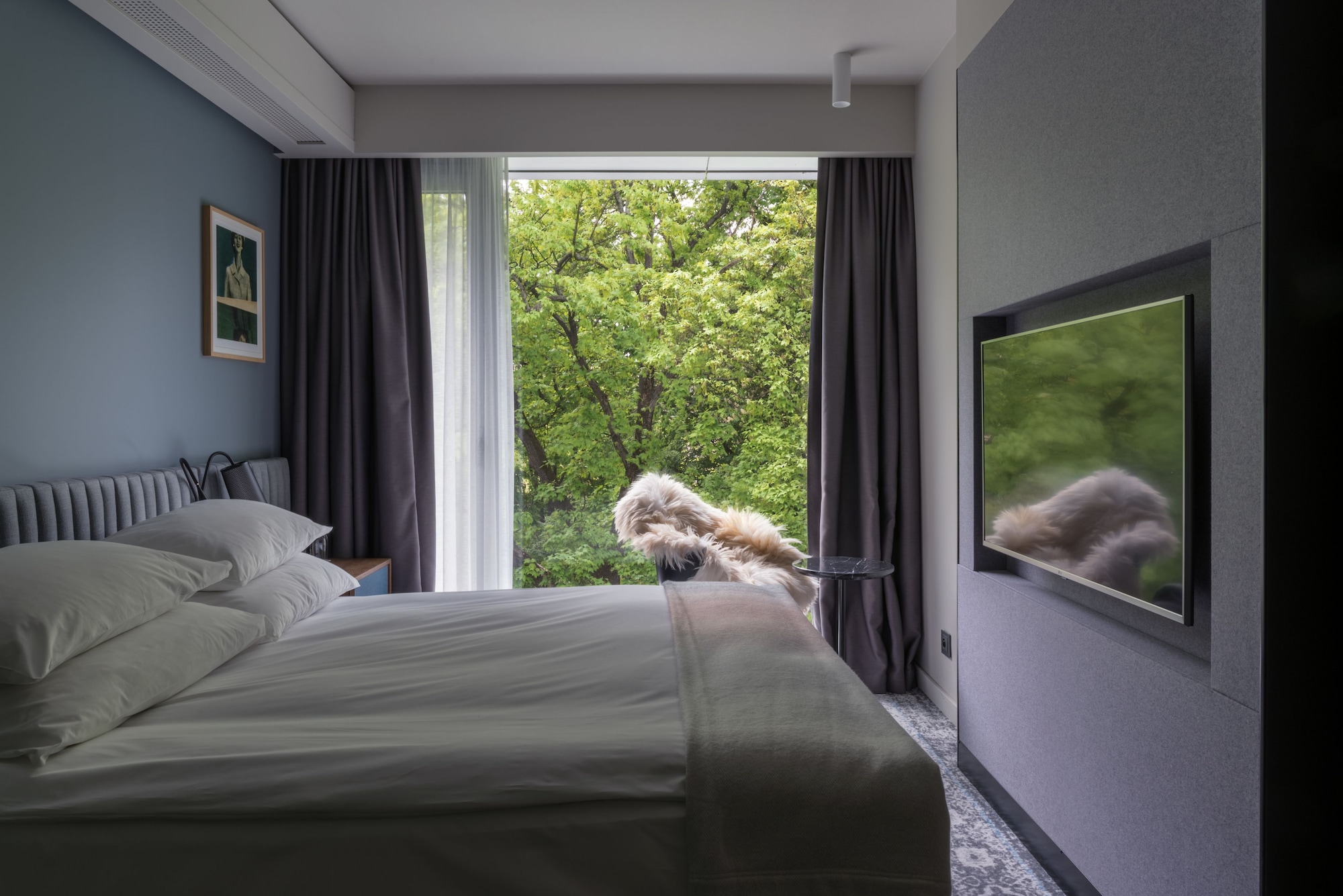 PLUS, CLASSIC, KING BED