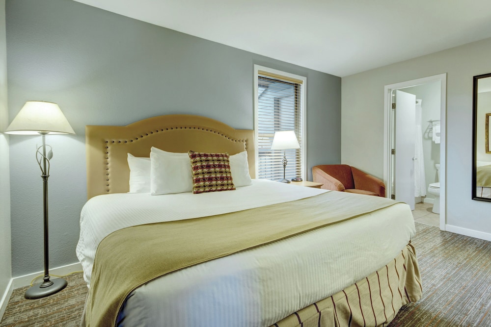 1 BEDROOM, CONDO, DELUXE