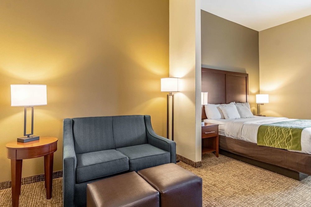 Comfort Inn Suites Tuscumbia Muscle Shoals 21/45