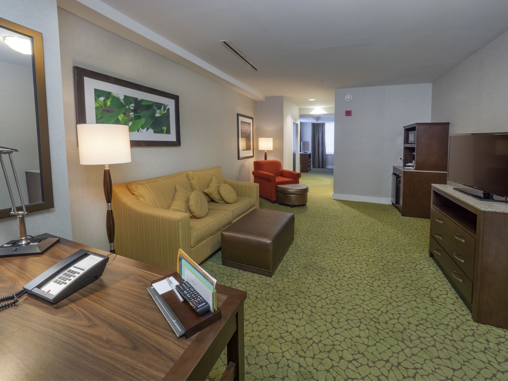 HILTON GARDEN INN BUFFALO DOWNTOWN 30/60