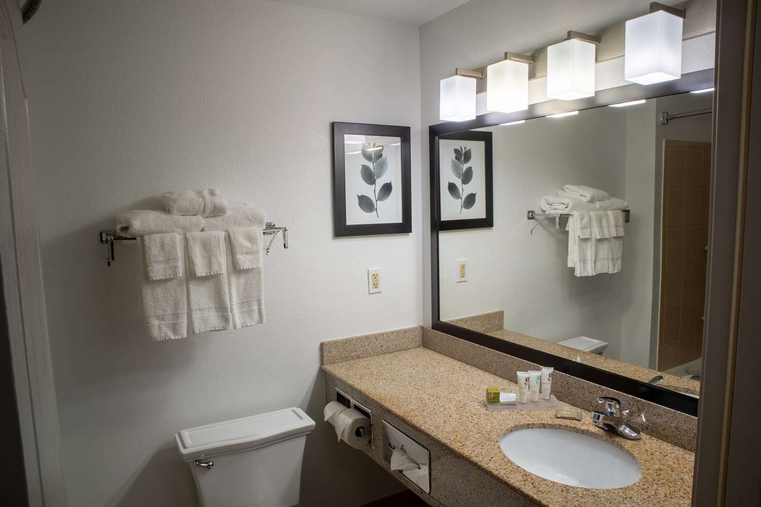 Country Inn Suites By Radisson Wilmington Nc 36/38
