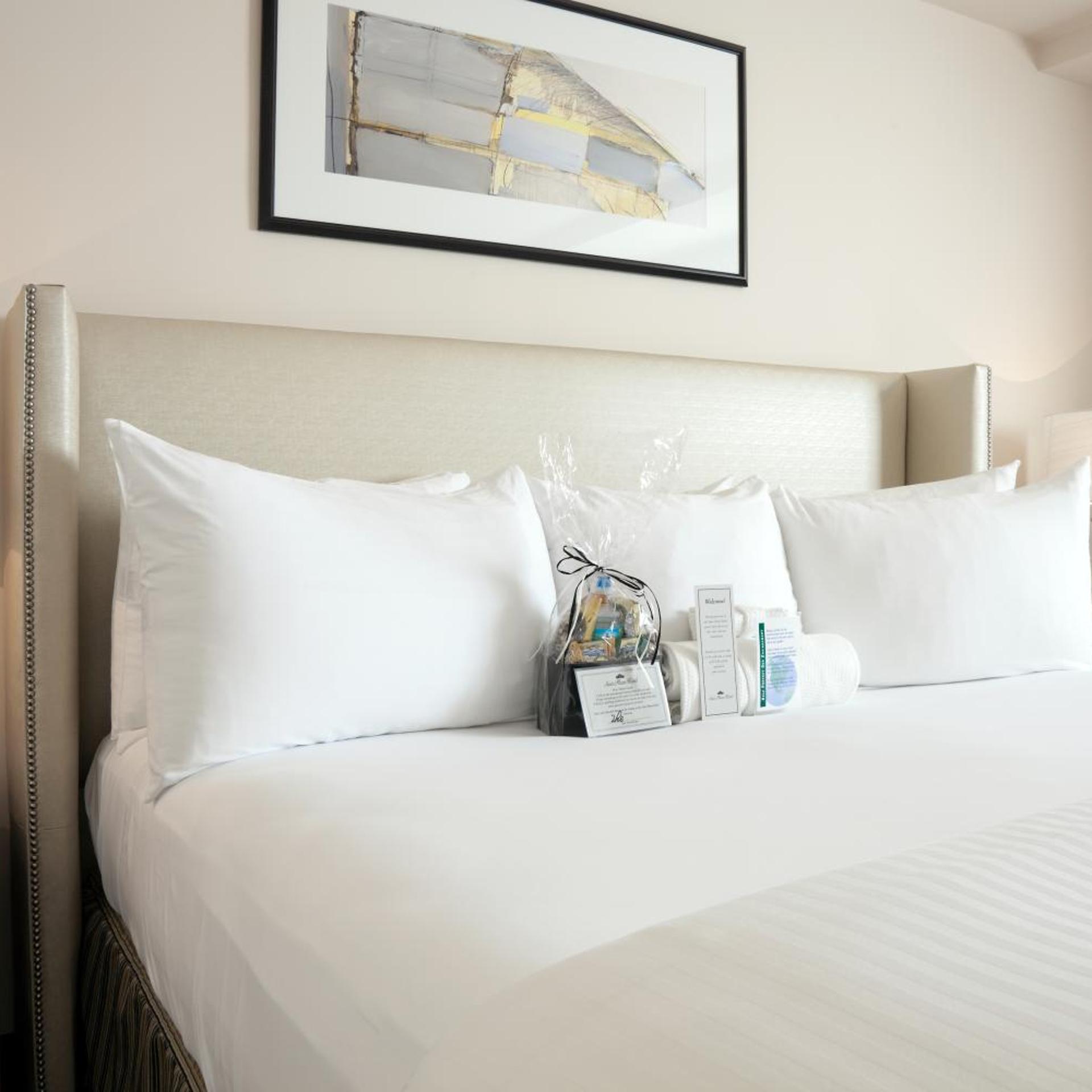 Plaza, Deluxe, Suite, Accessible