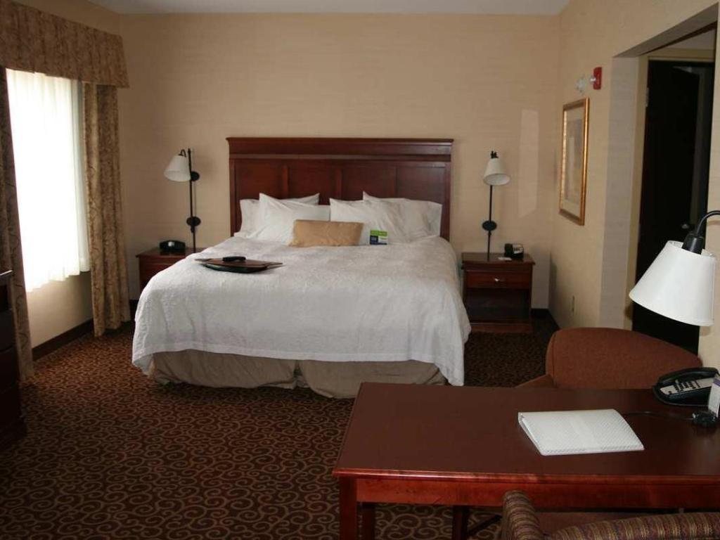 Studio, King Bed, Sofa, Accessible