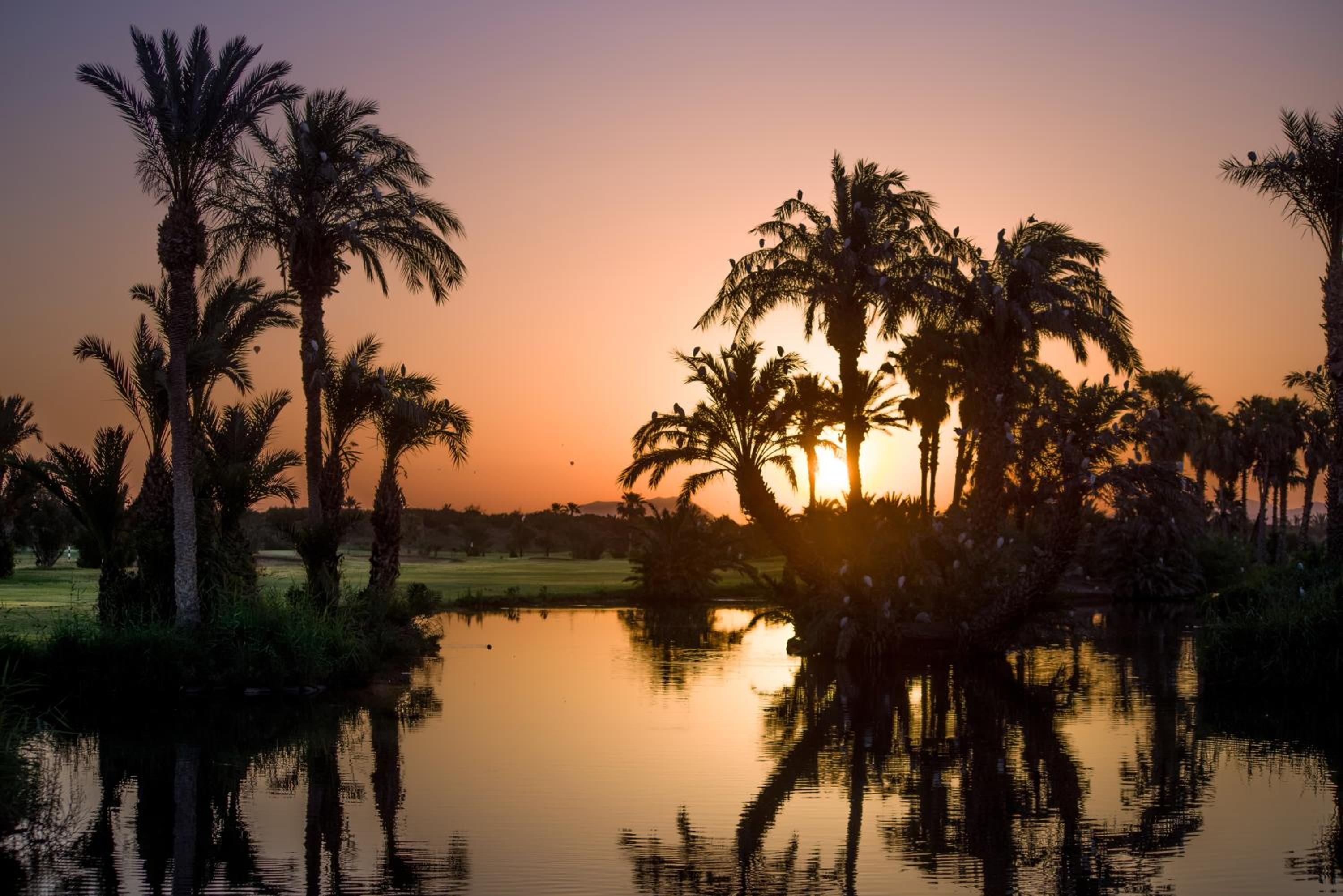 Golf Club Rotana 43/46