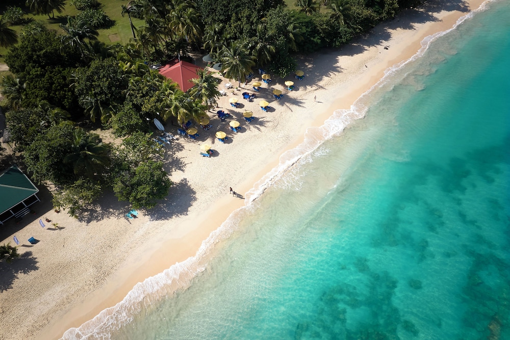 MOUNT CINNAMON GRENADA 46/50
