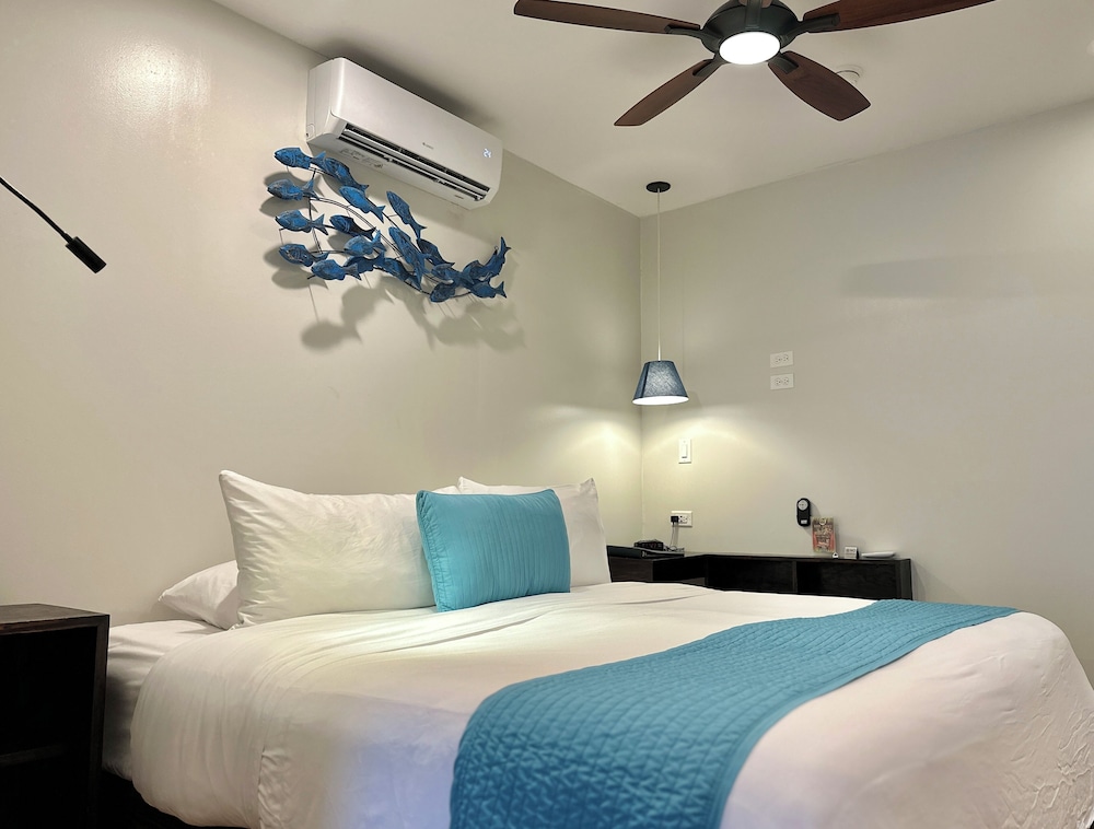 Standard, King Bed, Kitchen