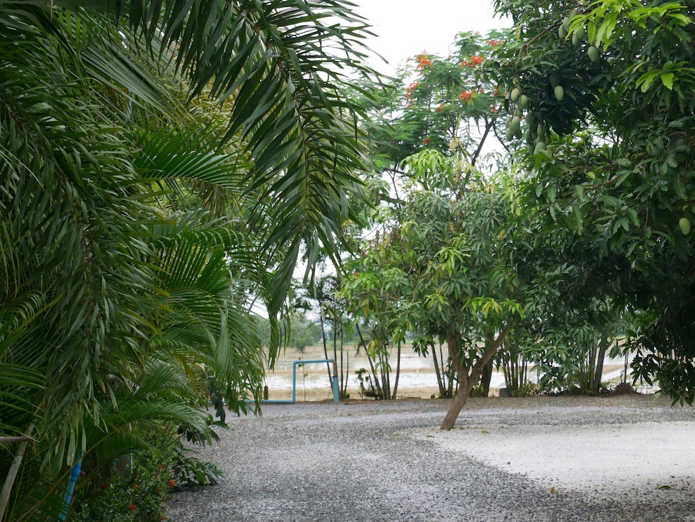 Baan Suan Palm Resort 27/36