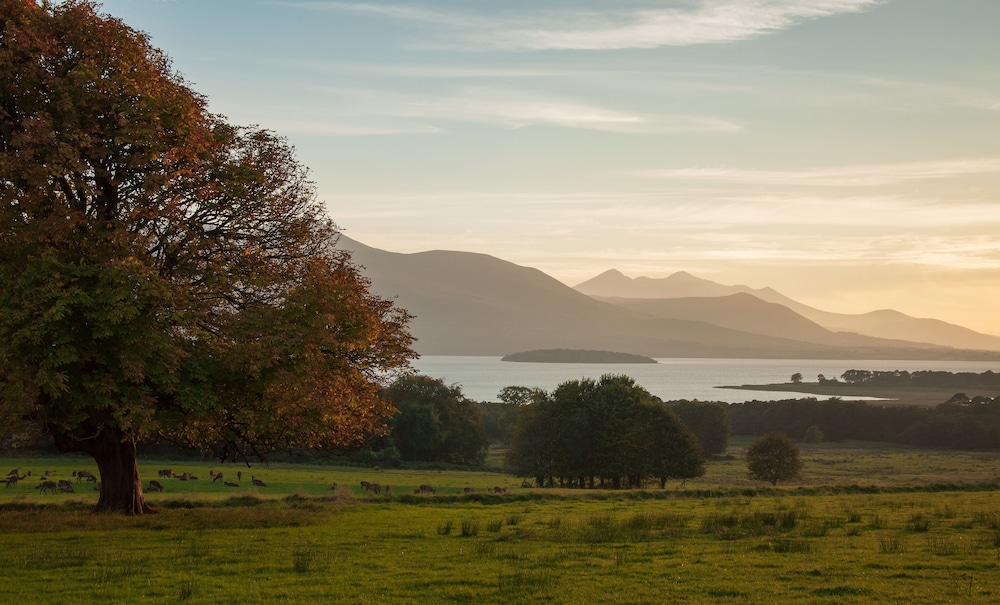 Muckross Park Hotel and Spa 63/68