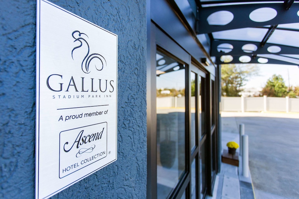 Gallus Stadium Park Inn, an Ascend Collection Hotel 21/33