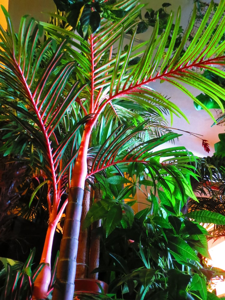 Stella Resort - Hostel 38/49