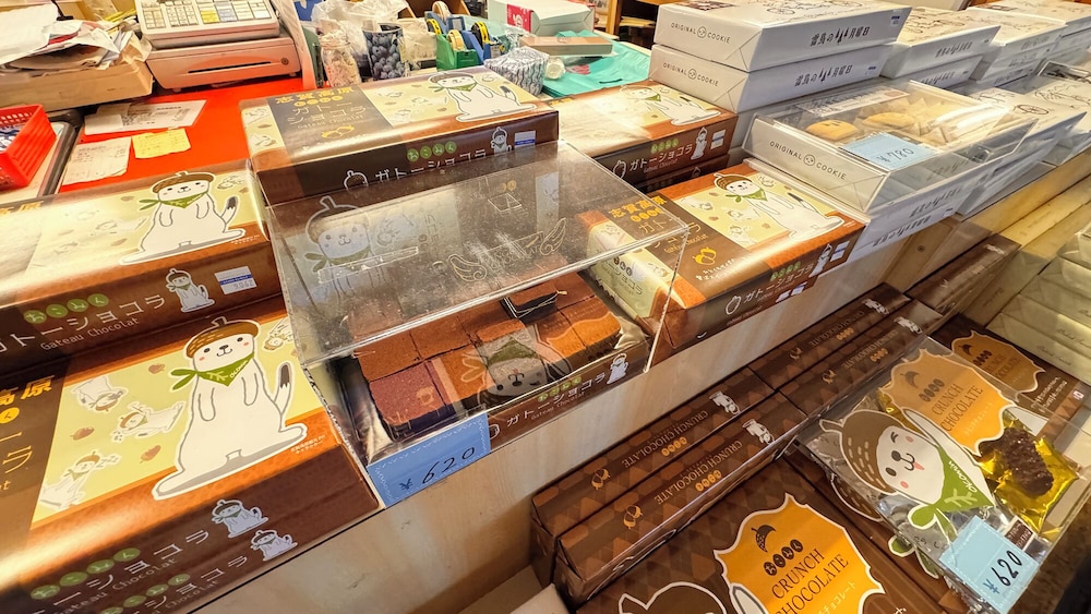 Kidoike Onsen Hotel 8/50