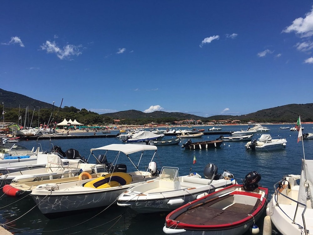 Barracuda، Piombino 36/43