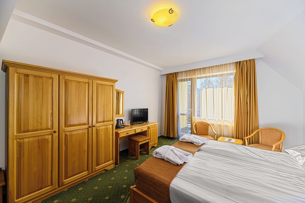 Hotel Casa Viorel 9/50