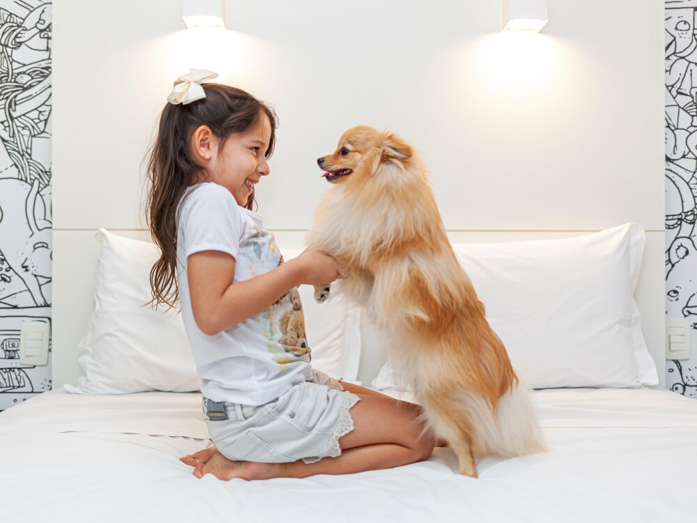 Ibis Styles Rondonopolis 8/49
