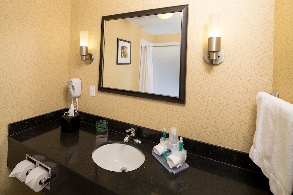 جناح بسرير كينج بحوض استحمام لذوي الإعاقة، Holiday Inn Express Hotel And Suites Detroit North Troy 2/3