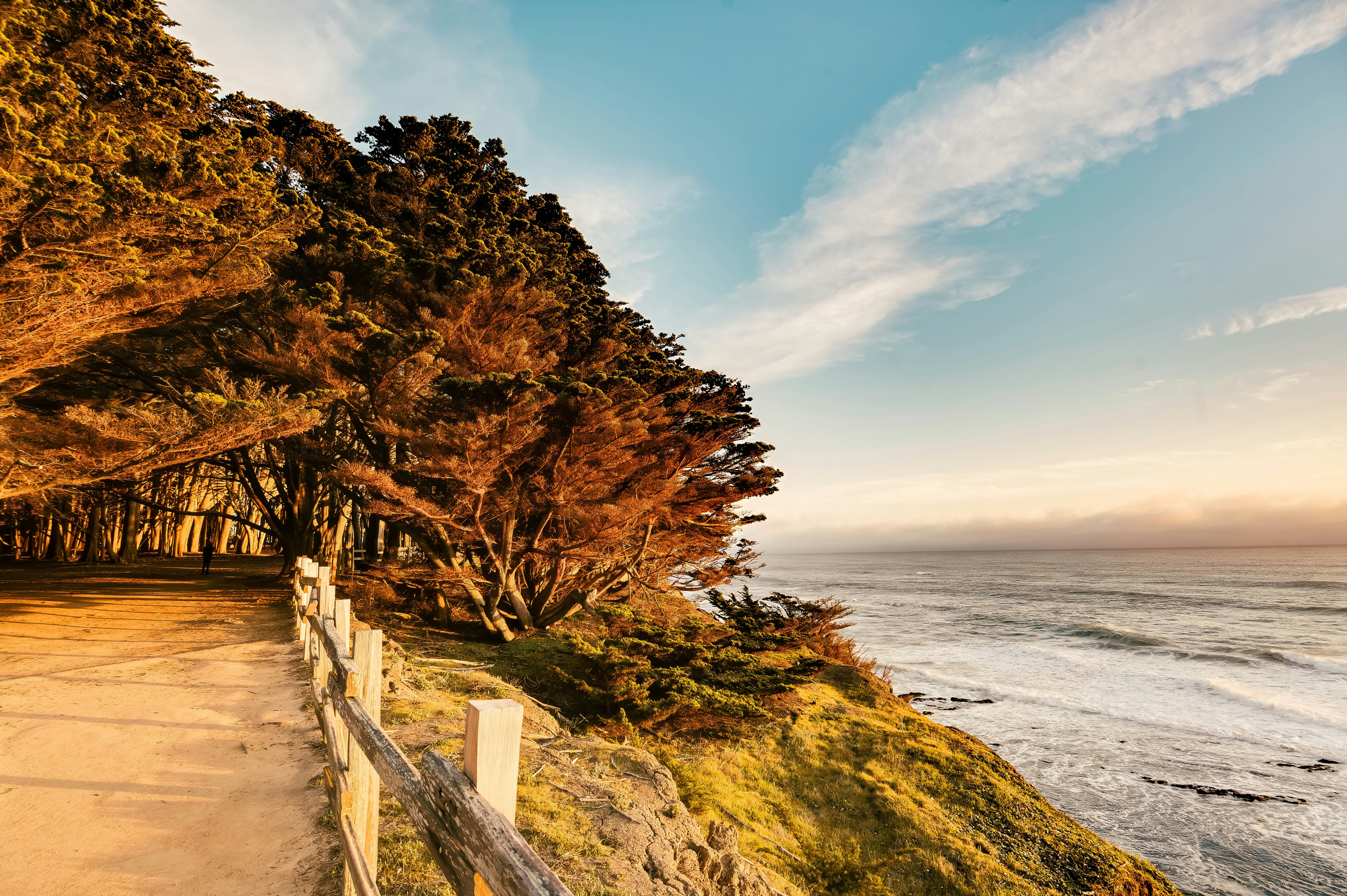 Seal Cove Inn 62/75