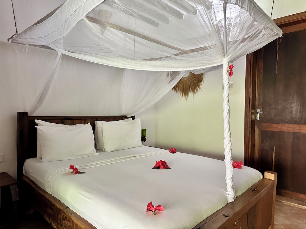 Aluna Beach Lodge 5/50
