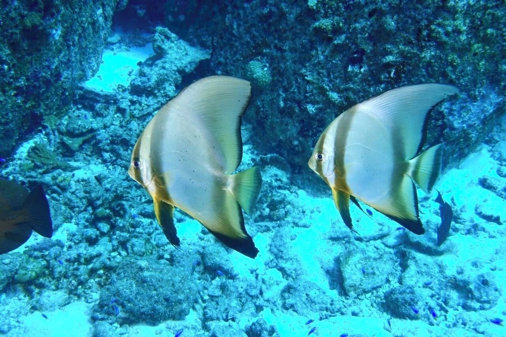 La Digue Island Lodge 40/67
