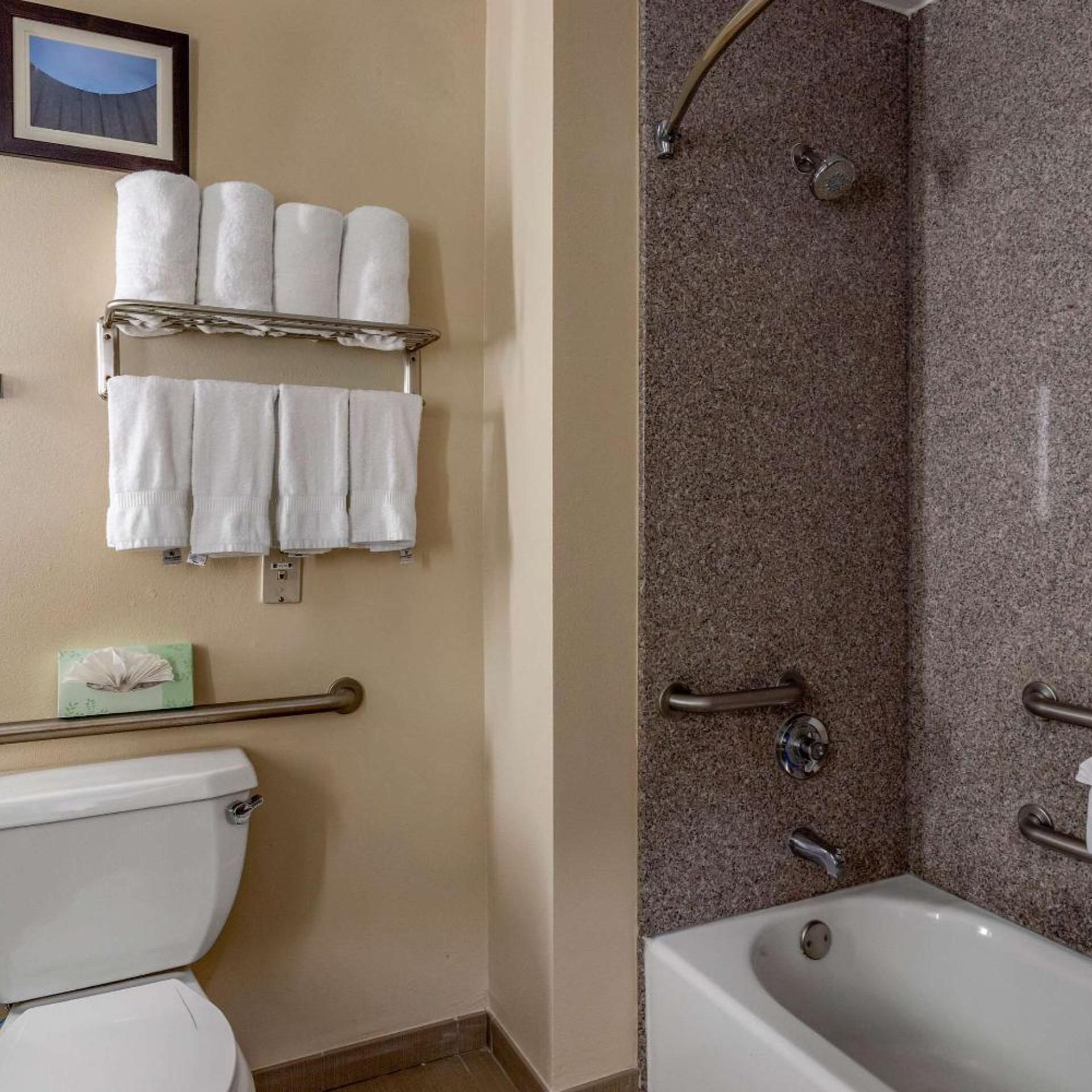 1 Bedroom, Suite, Sofa, Accessible, Comfort Suites Houston near Medical Center- NRG Stadium 6/7