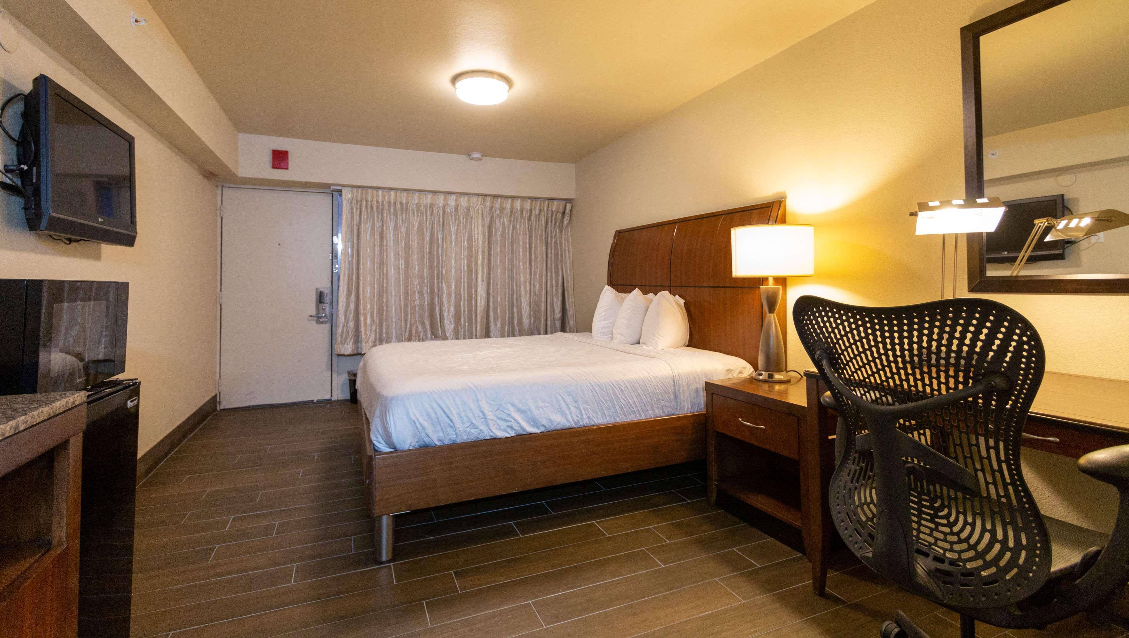 Room, Single, King Bed
