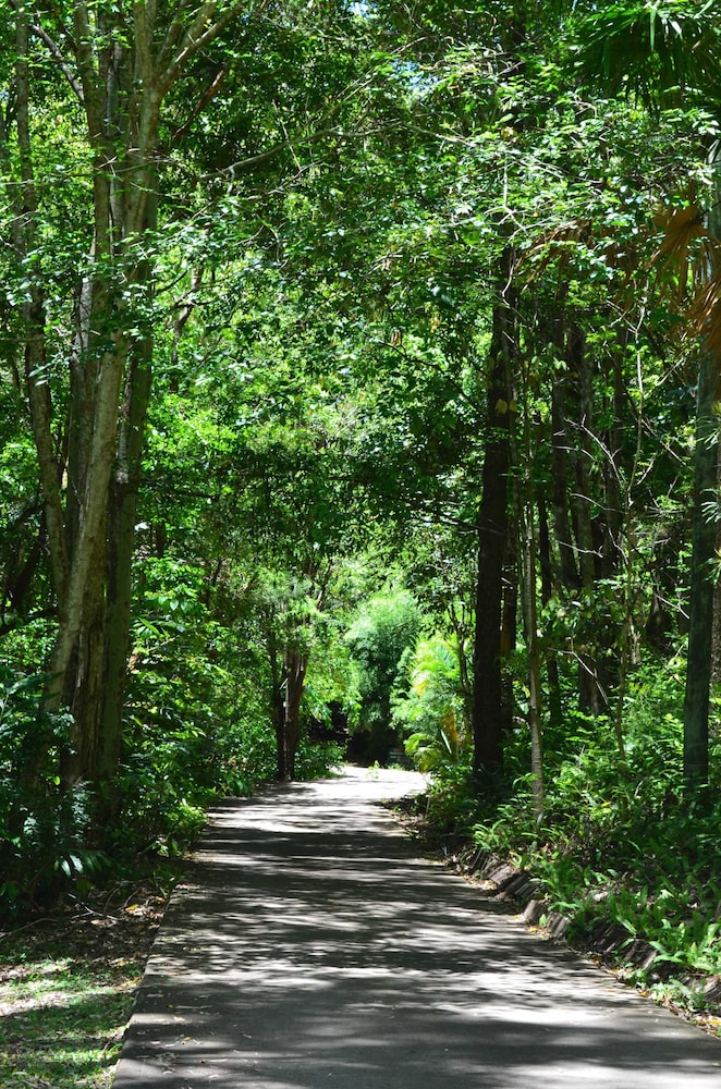 Kondalilla Eco Resort 43/47