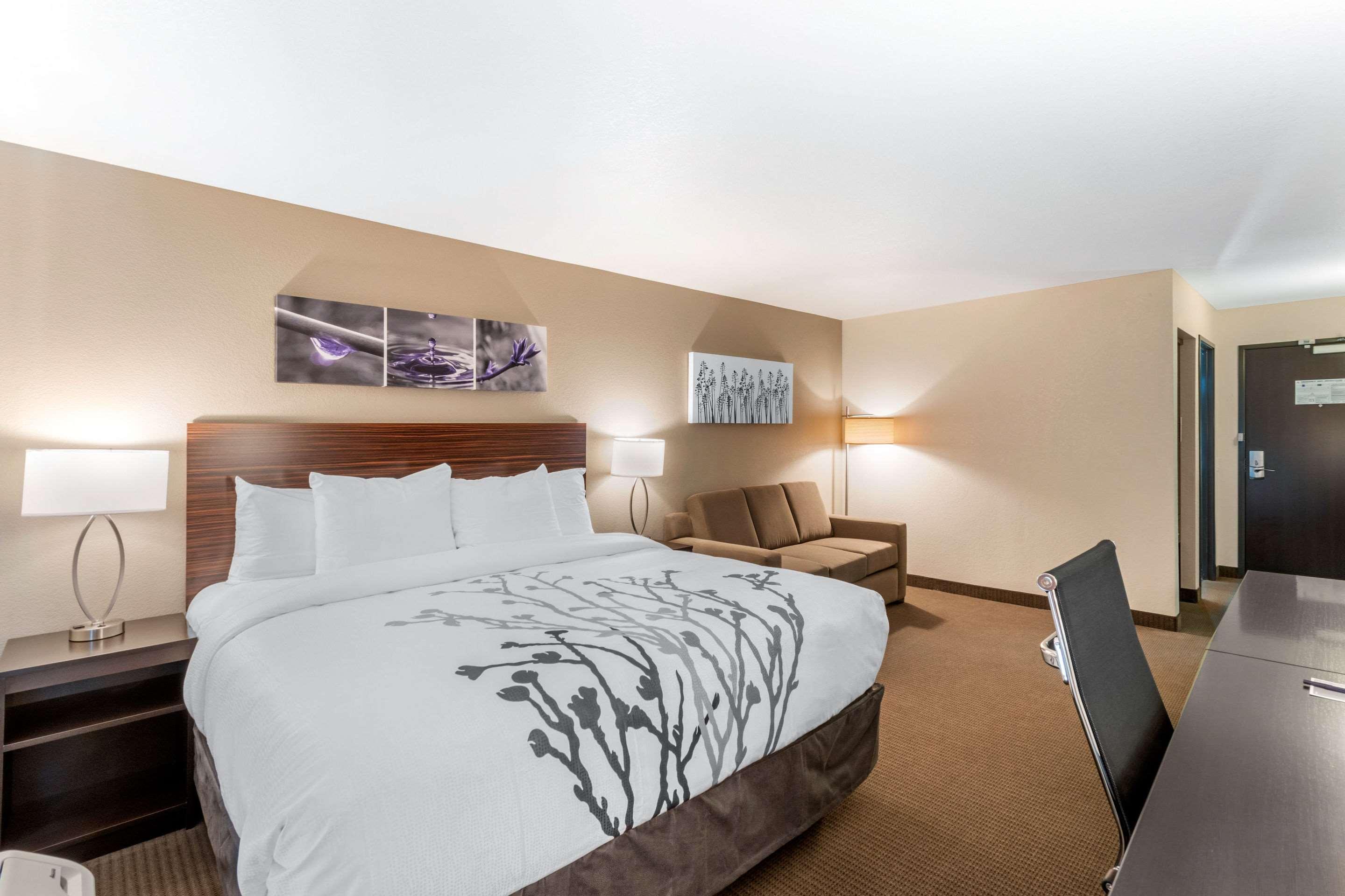 UPGRADE, SUITE, KING BED