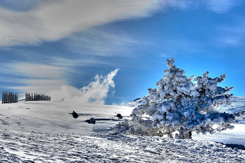 Agaoglu My Mountain - All Inclusive 44/50