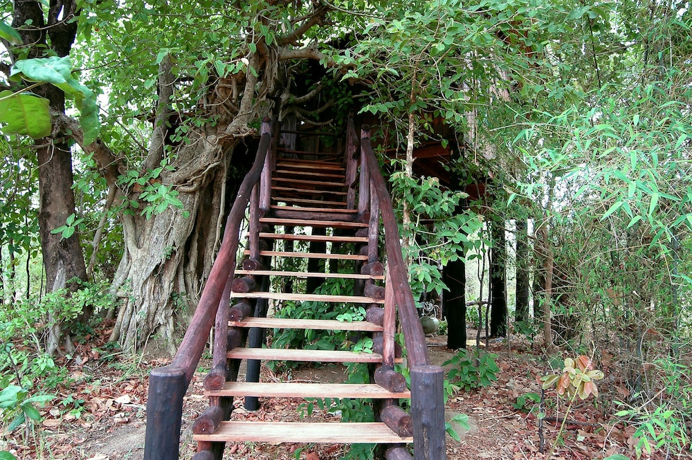 TREE HOUSE HIDEAWAY 1/50