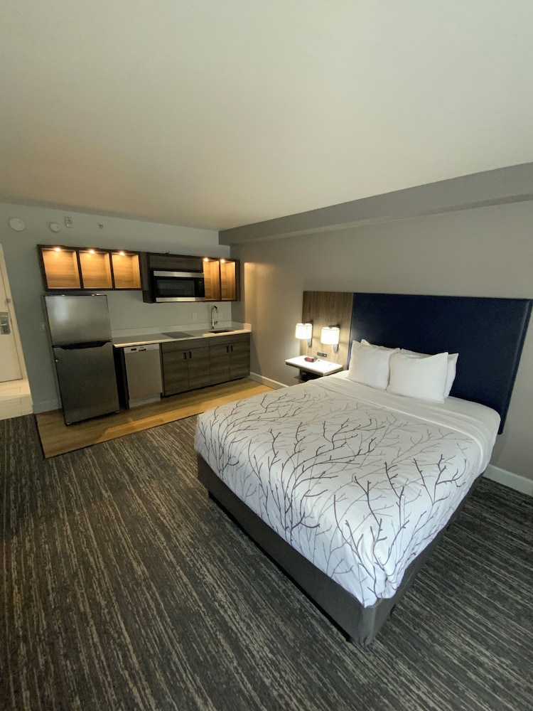Standard, Queen Bed, Kitchenette
