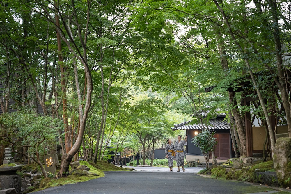 Nihon No Ashitaba 43/50