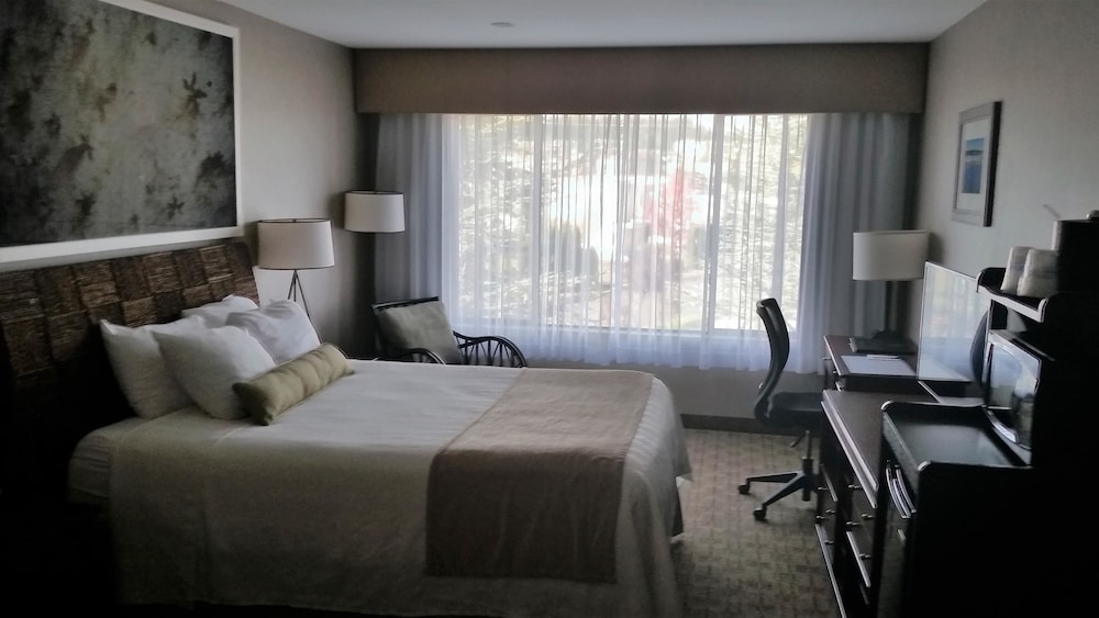 Silverdale Beach Hotel 8/50