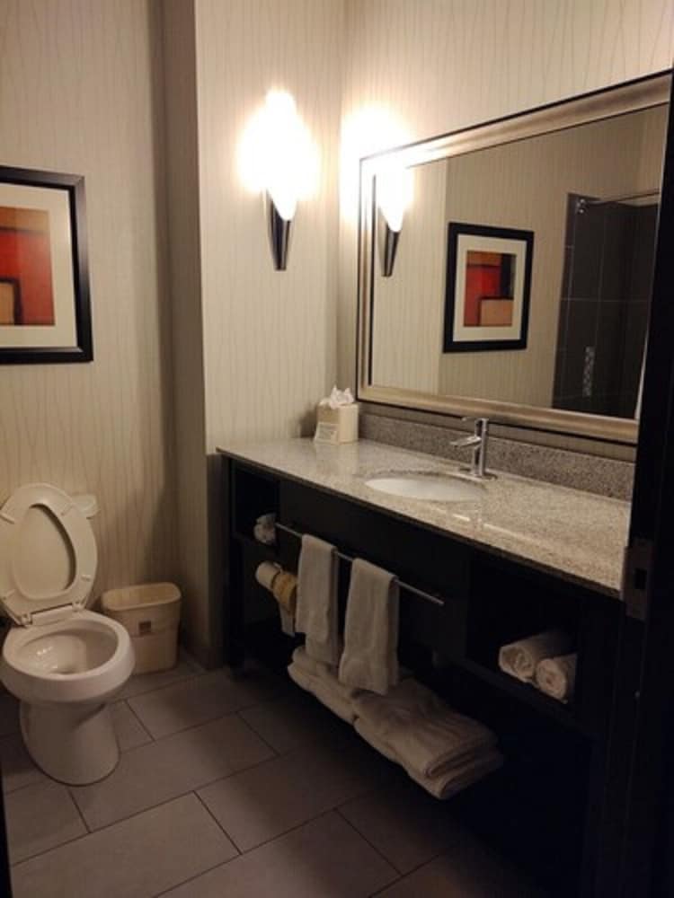 Comfort Suites Greenville 26/42