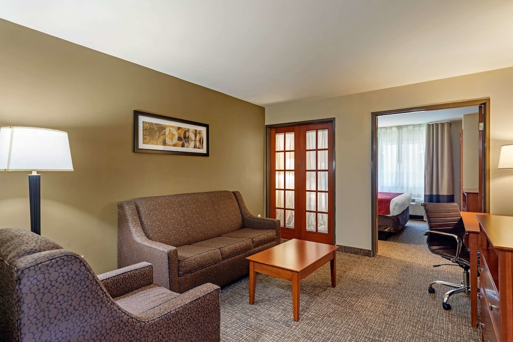 Comfort Suites North Dallas 23/31