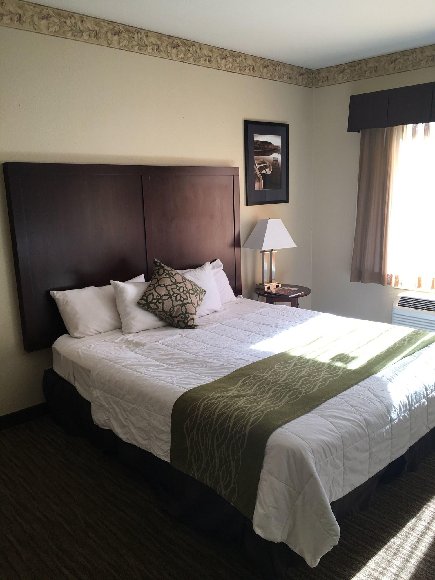 Suite, Multiple Beds