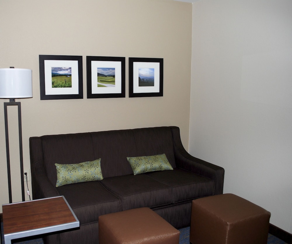 Comfort Inn Woodstock Shenandoah 25/39