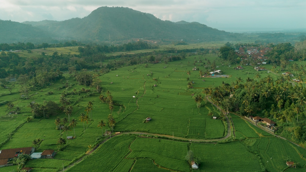 Kubu Sakian Villa 53/60