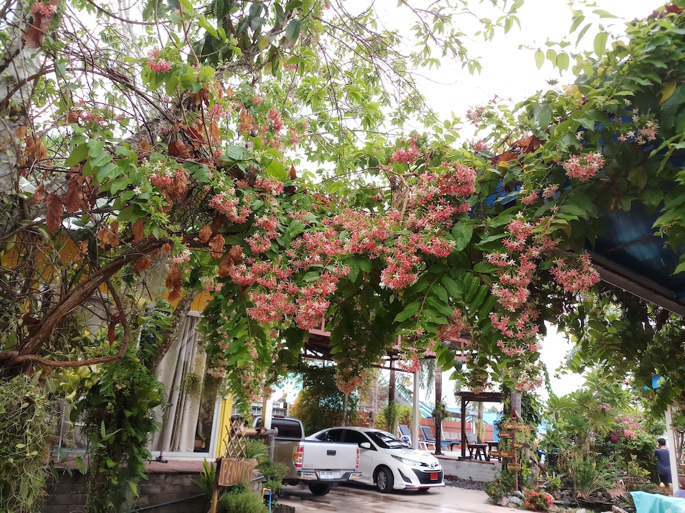 Penny's Home Stay Resort 40/50
