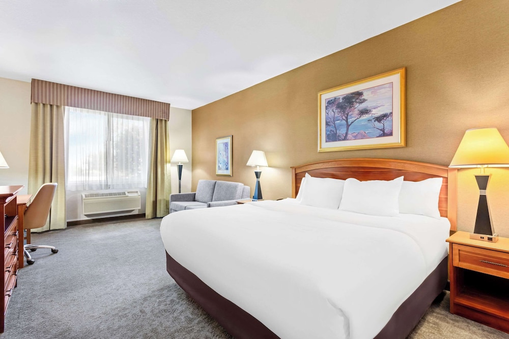 جناح بسرير كينج، Comfort Inn & Suites I-25 near Spaceport America 2/3