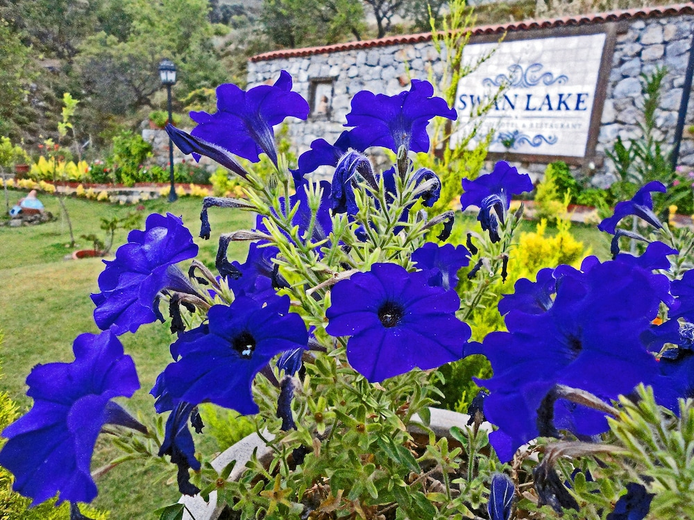 Swan Lake Boutique Hotel - Adults Only 57/67