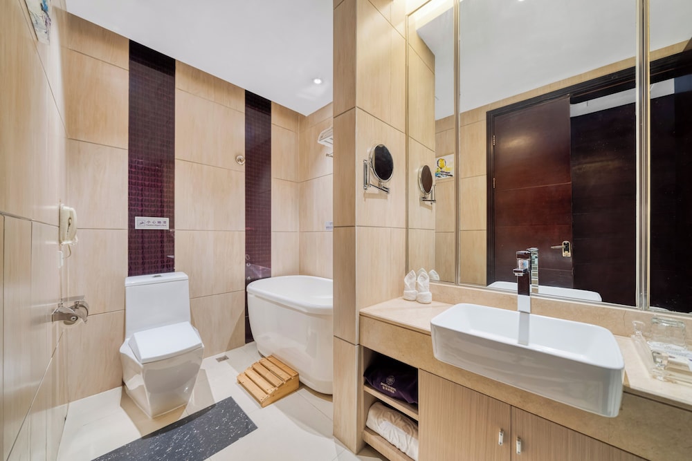 Dayhello Hotel Shenzhen 43/50