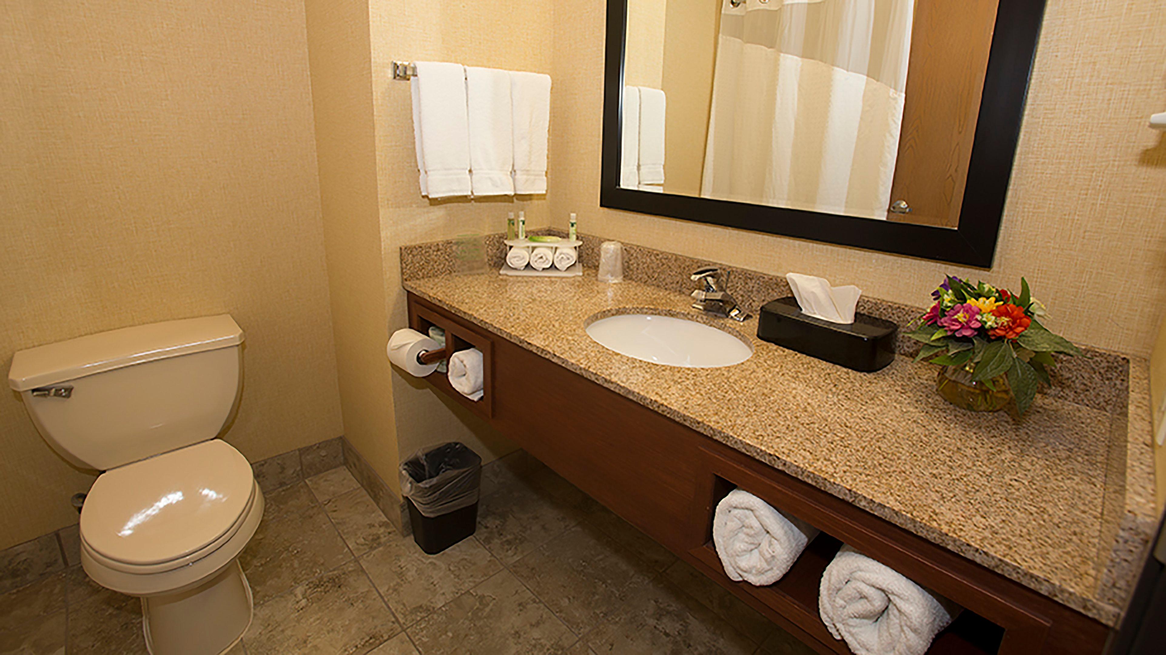 غرفة قياسية بسرير كينج لذوي الإعاقة، Holiday Inn Express Boonville 2/2