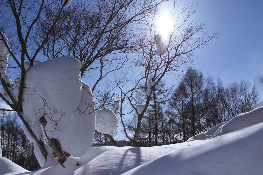 Niseko Freedom Inn 37/40