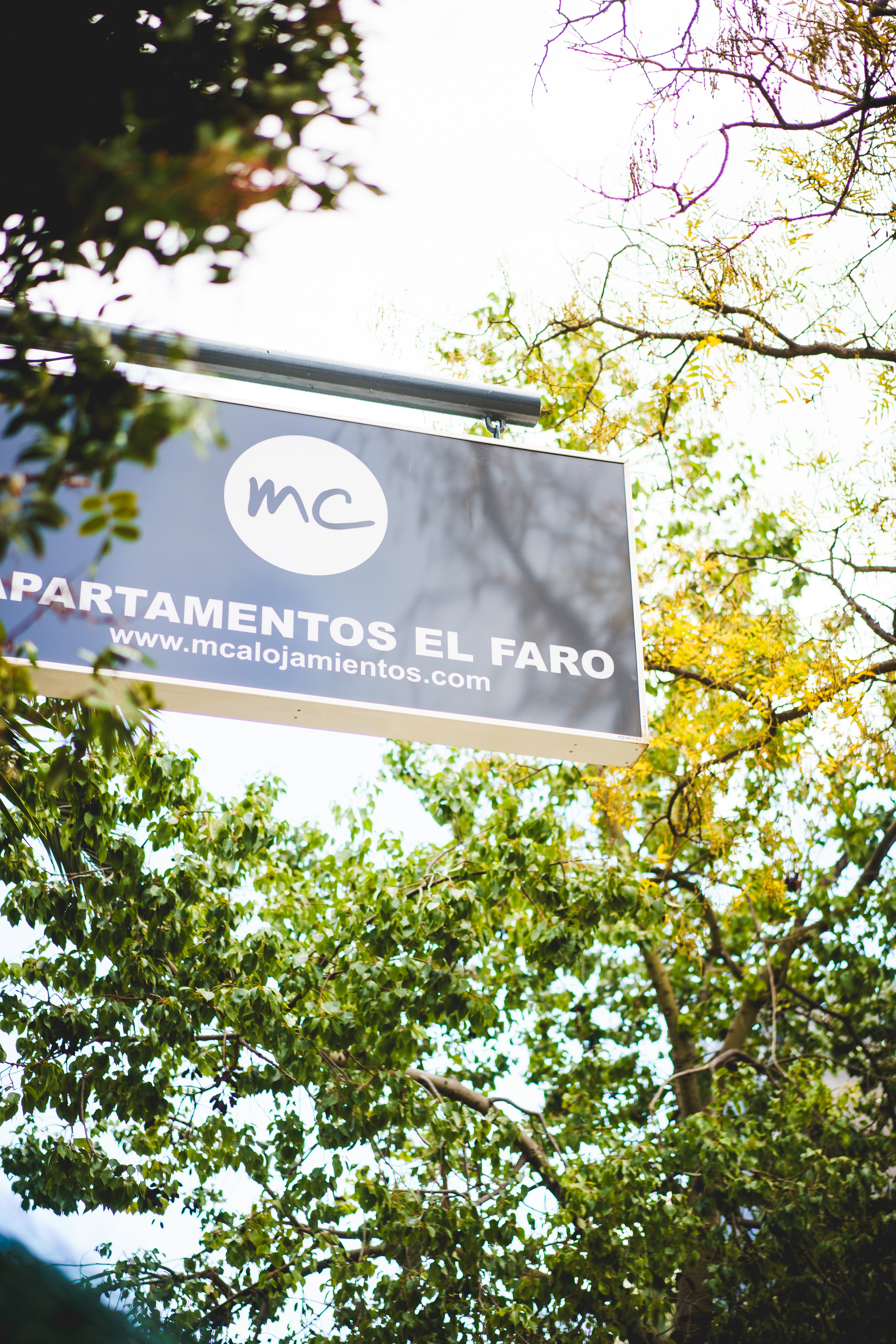 El Faro 3/36