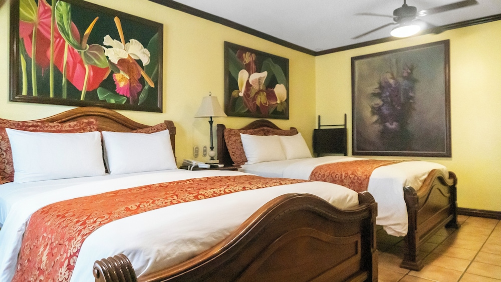 Hotel Casa Roland San Jose 21/59