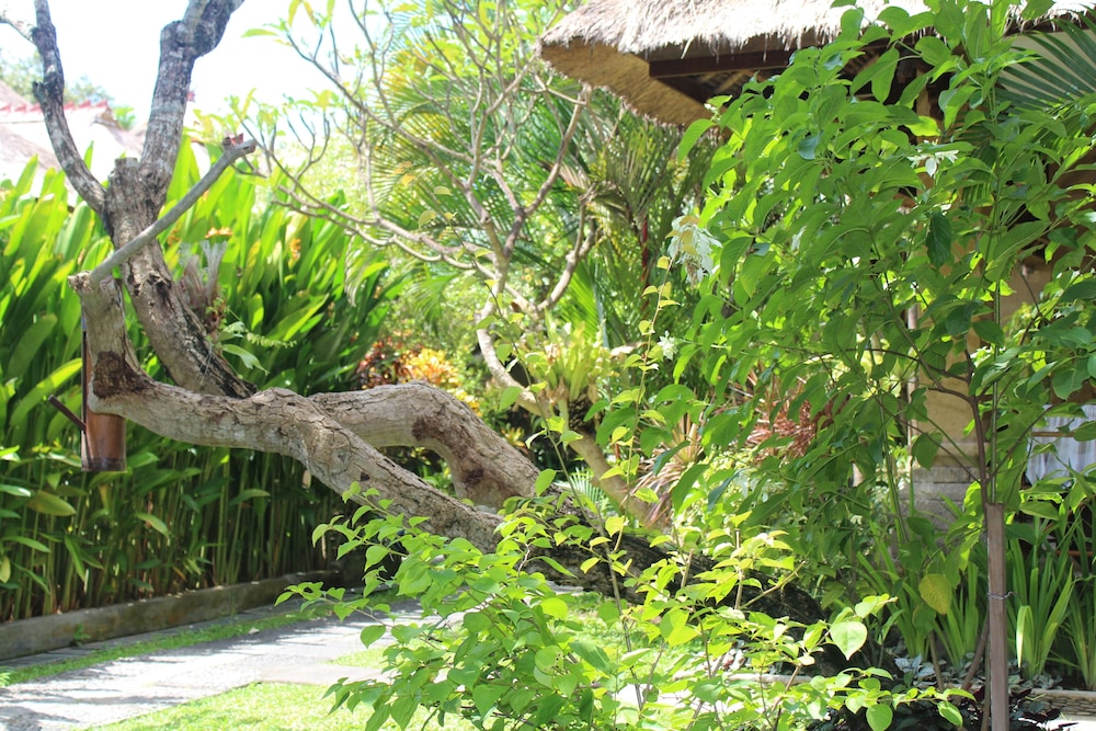 BALI AGUNG VILLAGE 47/60