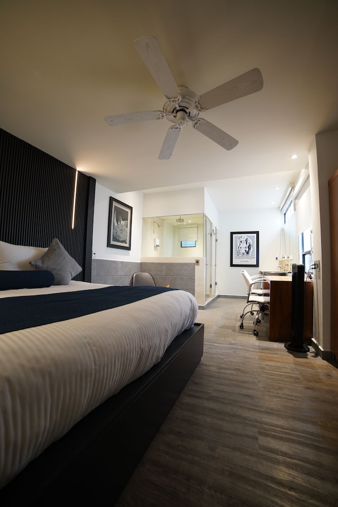 FlowSuites Polanco 14/38