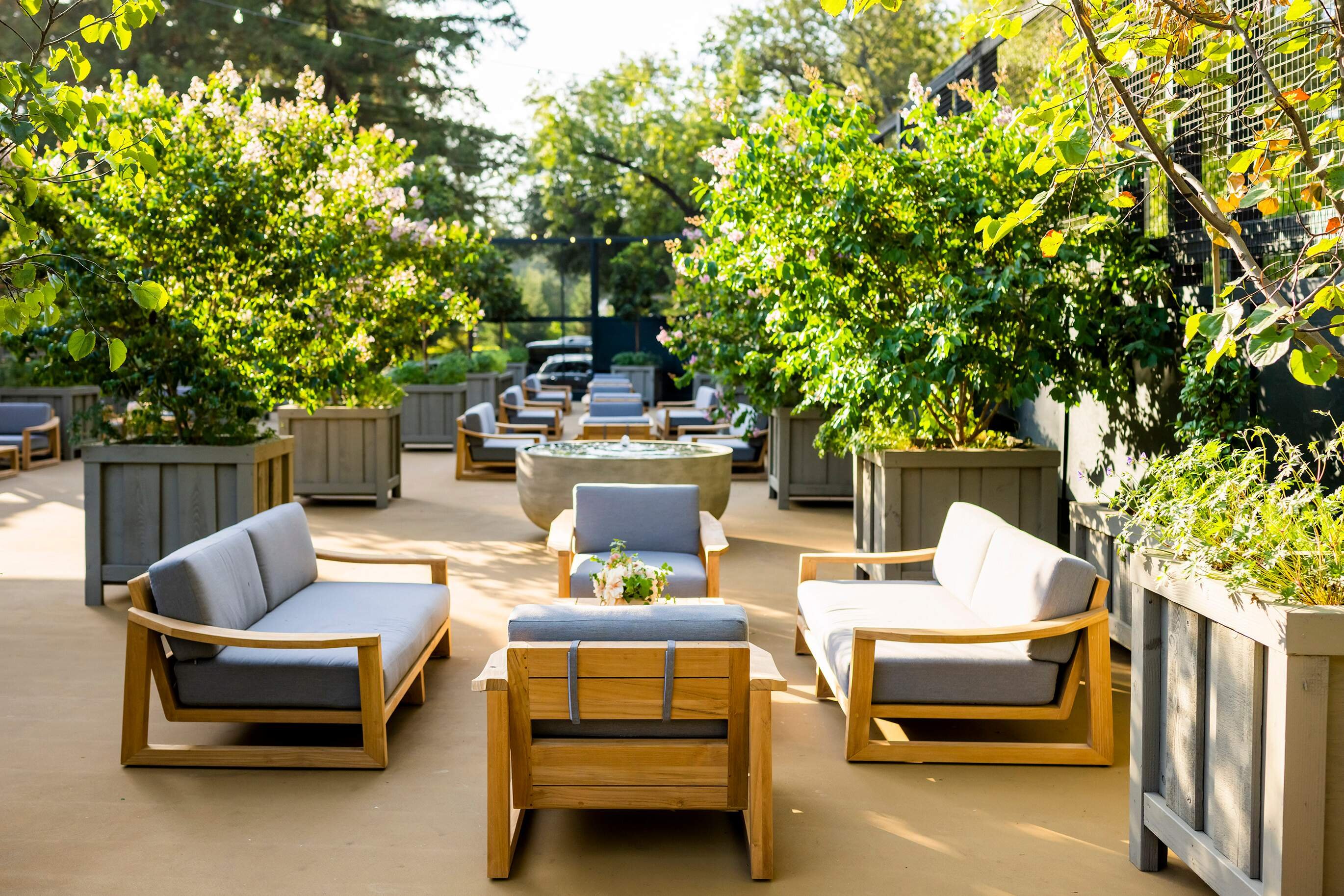 Meadowood Napa Valley 35/50