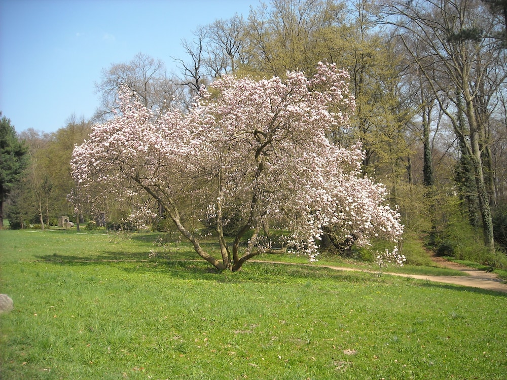 SCHLOSS ECKBERG 43/52