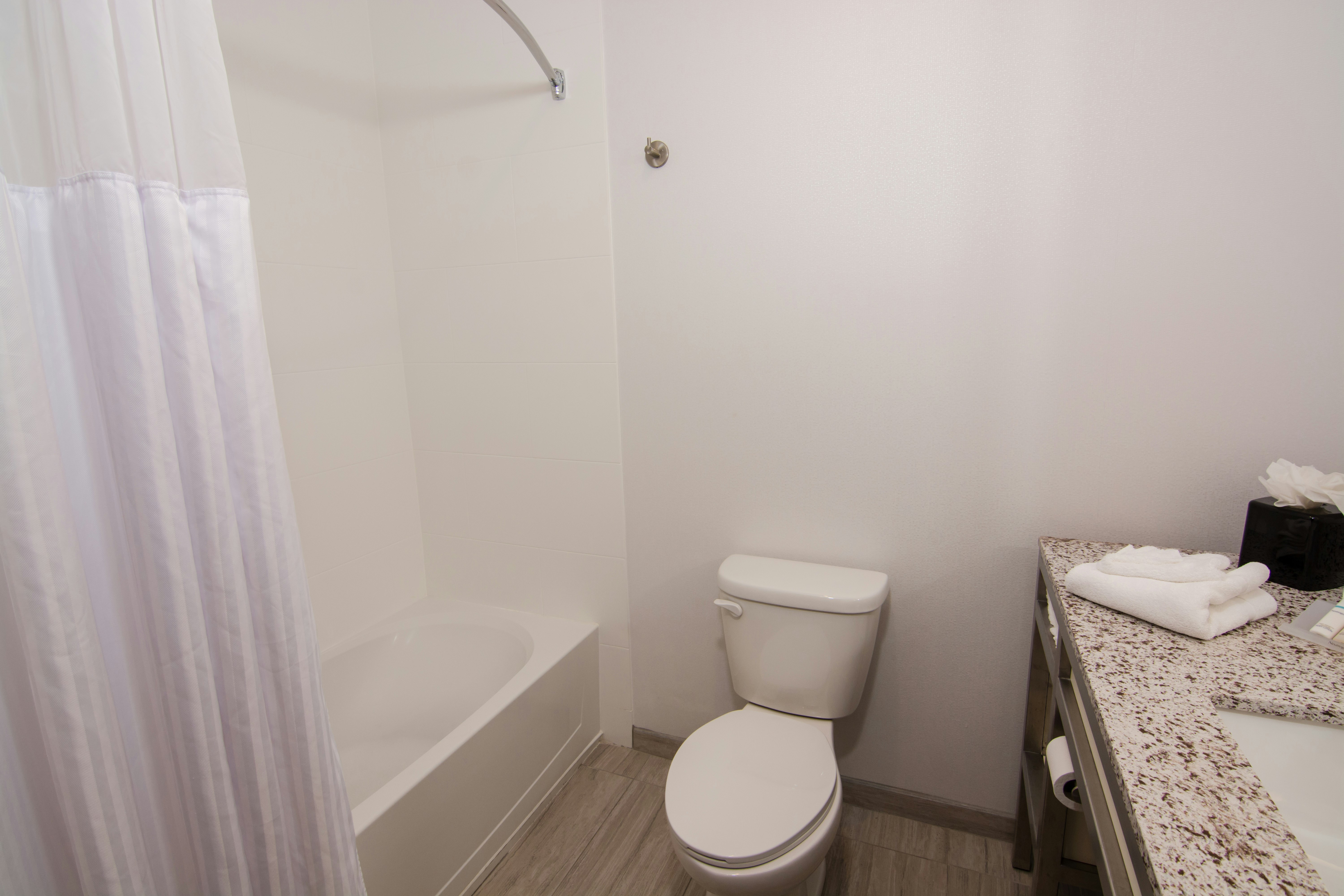 غرفة بسريرين كوين لذوي الإعاقة، Hilton Garden Inn Tampa Suncoast Parkway 3/3
